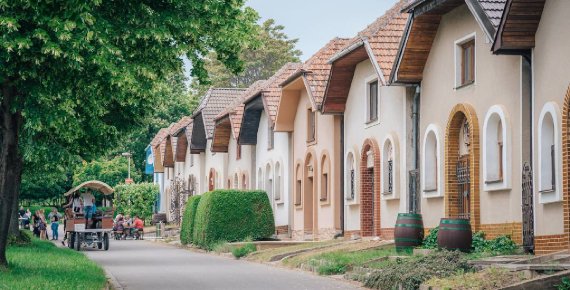 Vstupenka na Den otevřených sklepů v Čejkovicích 31.8.2024