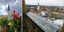 Vstupenka do Muzea harmonik + návštěva radniční věže v Litovli